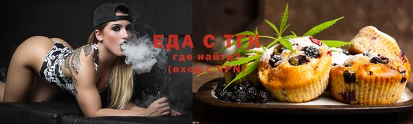 тгк Алексин