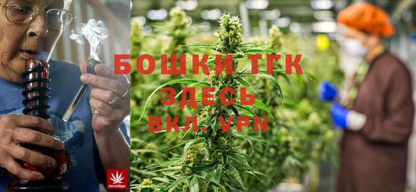 тгк Алексин
