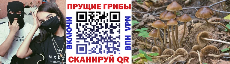 Псилоцибиновые грибы Magic Shrooms  Когалым 